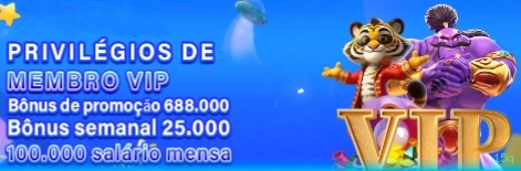 Pagamentos 15q